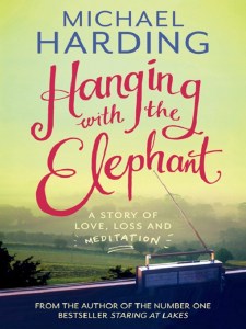 Hanging with the Elephant