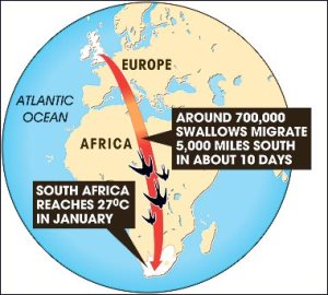 Migration map